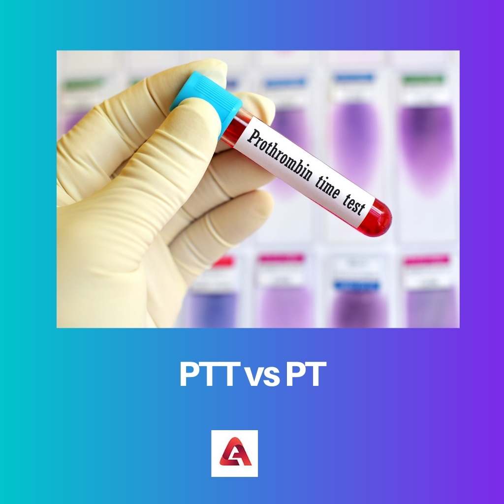 PTT vs PT