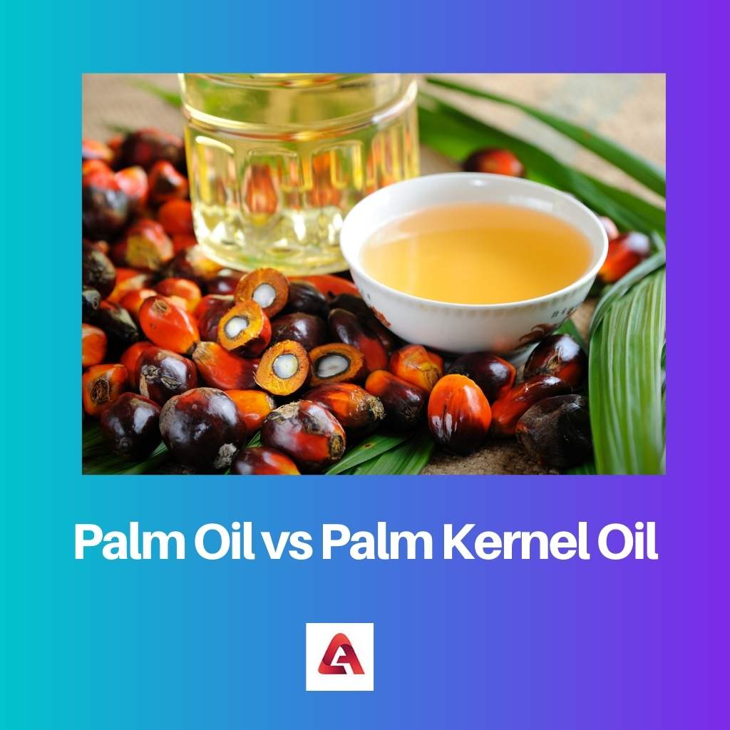 Palm Oil vs Palm Kernel Oil
