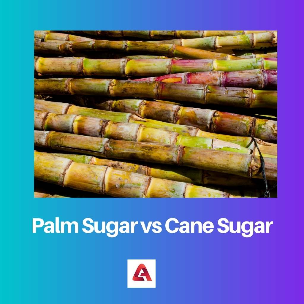 Palm Sugar vs Cane Sugar