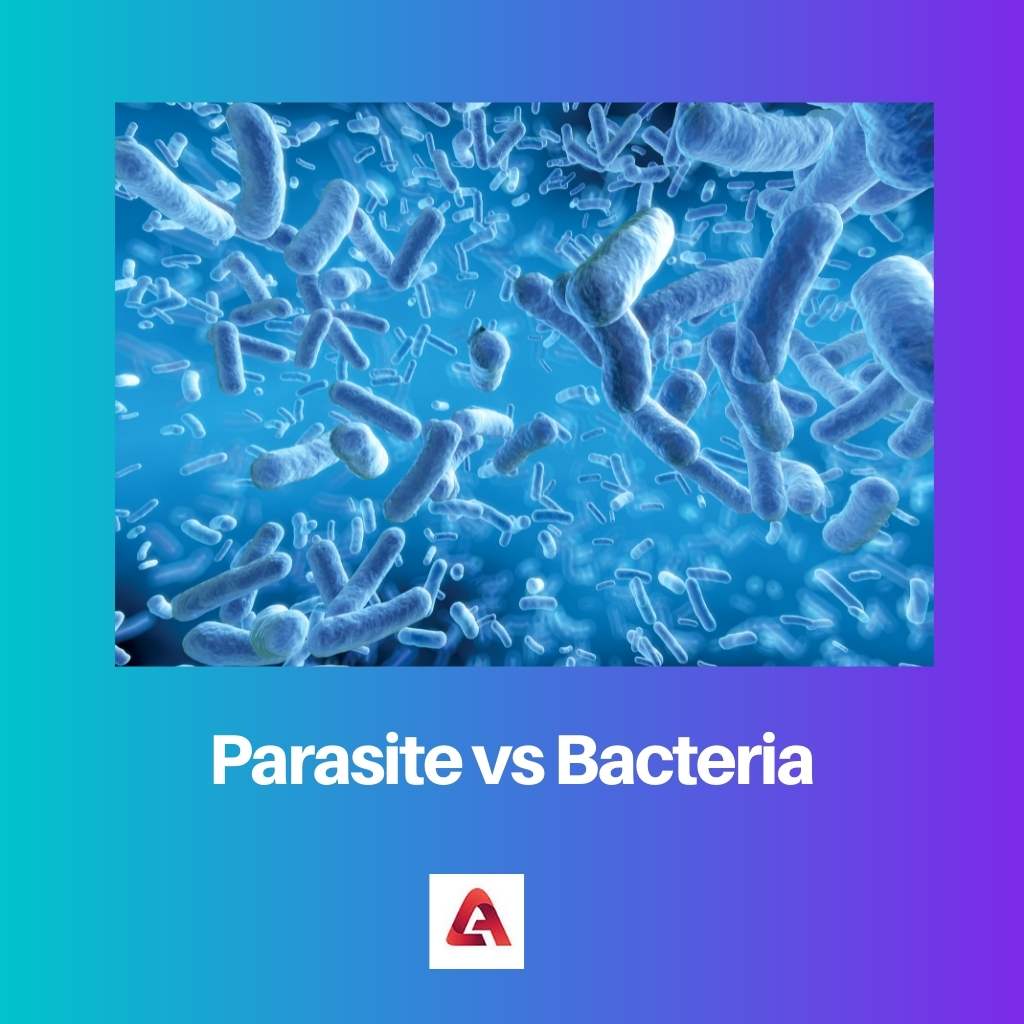 Parasite vs Bacteria