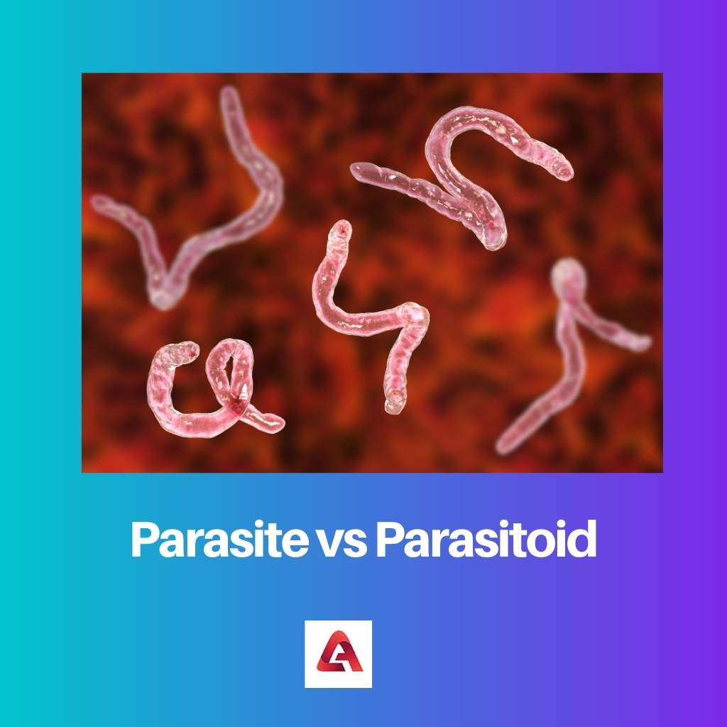 Parasite vs Parasitoid