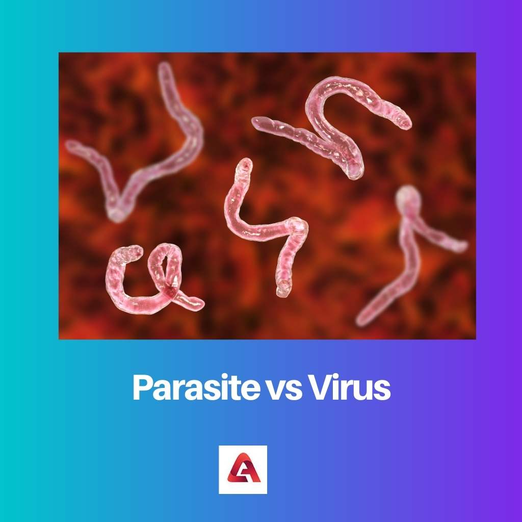 Parasite vs Virus