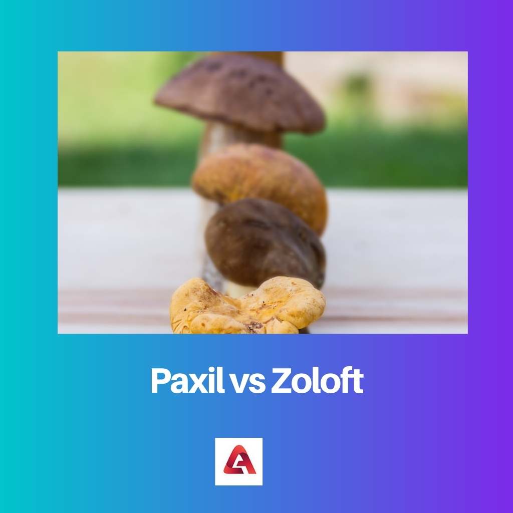 Paxil vs Zoloft