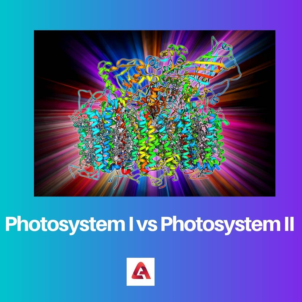 Photosystem I vs Photosystem II