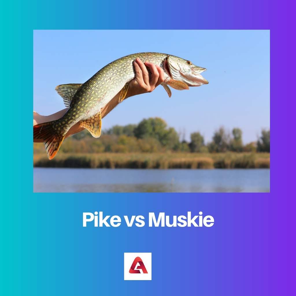 Pike vs Muskie