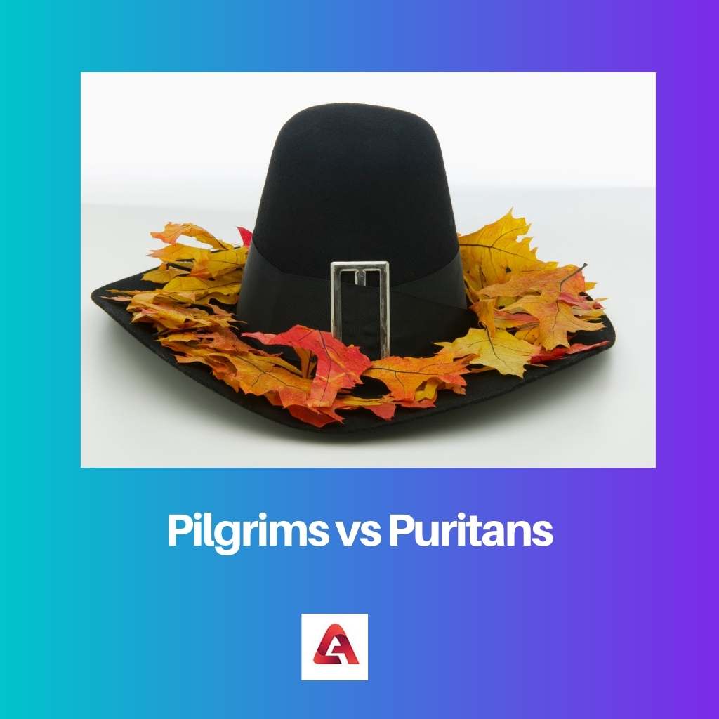 Pilgrims vs Puritans