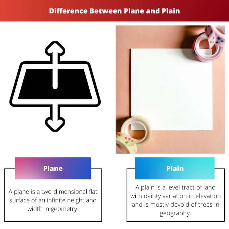 Perbedaan Antara Plain Dan Plane