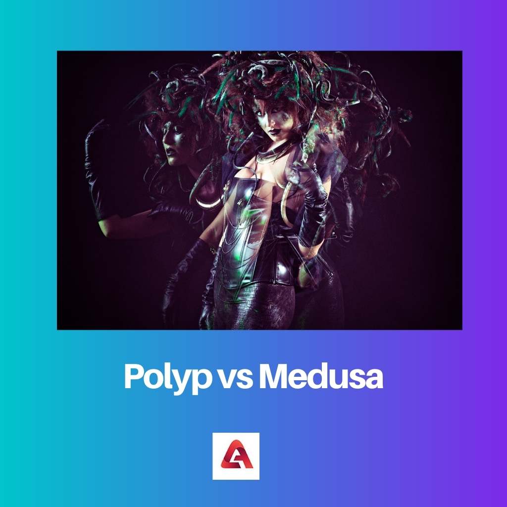 Polyp vs Medusa