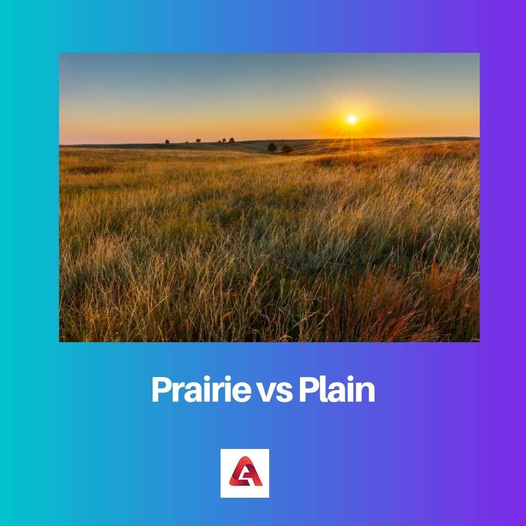 Prairie vs Plain