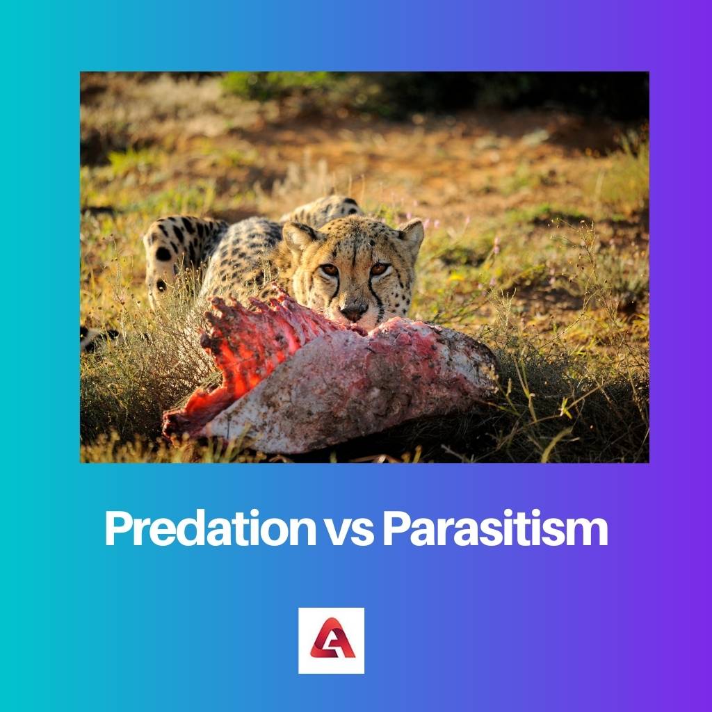Predation vs Parasitism