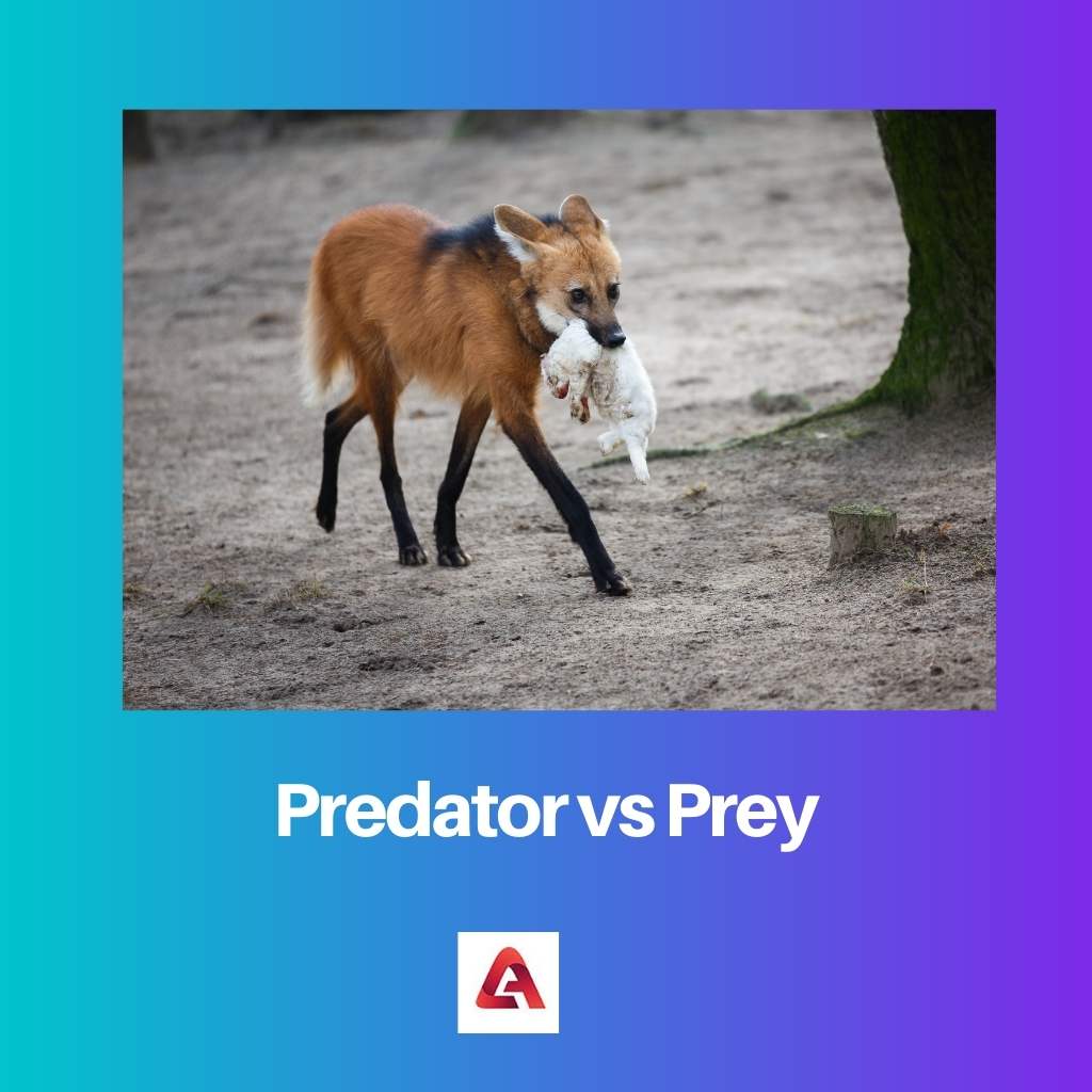 Predator vs Prey