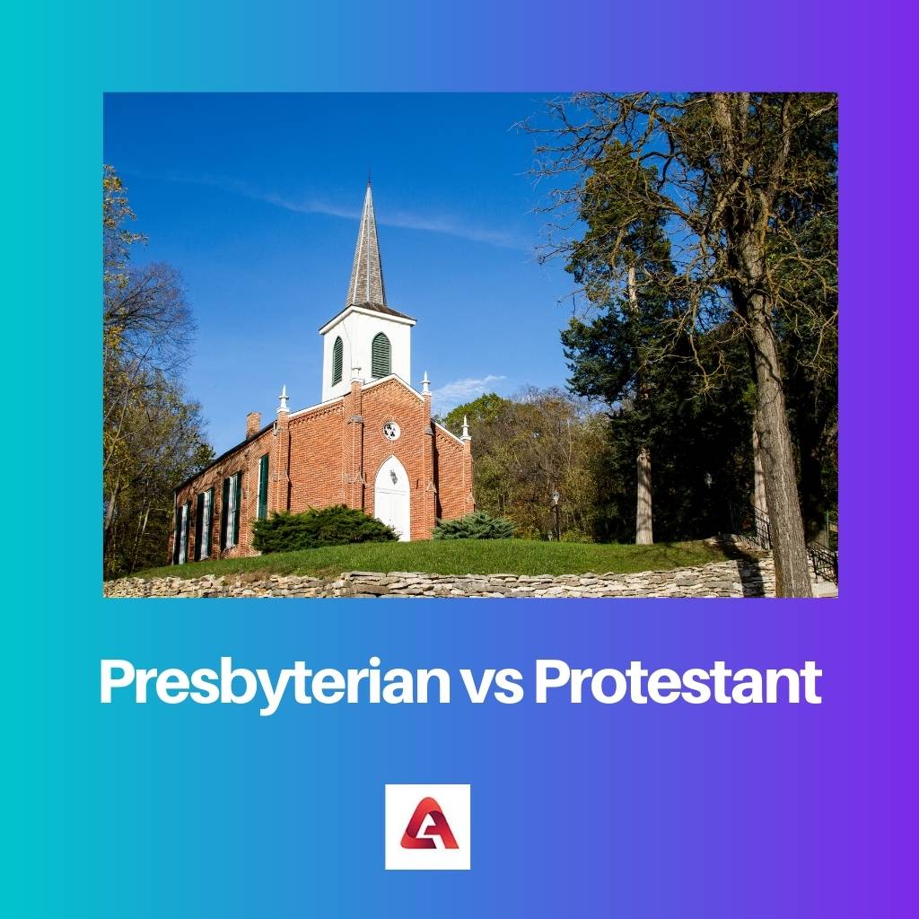 Presbyterian vs Protestant