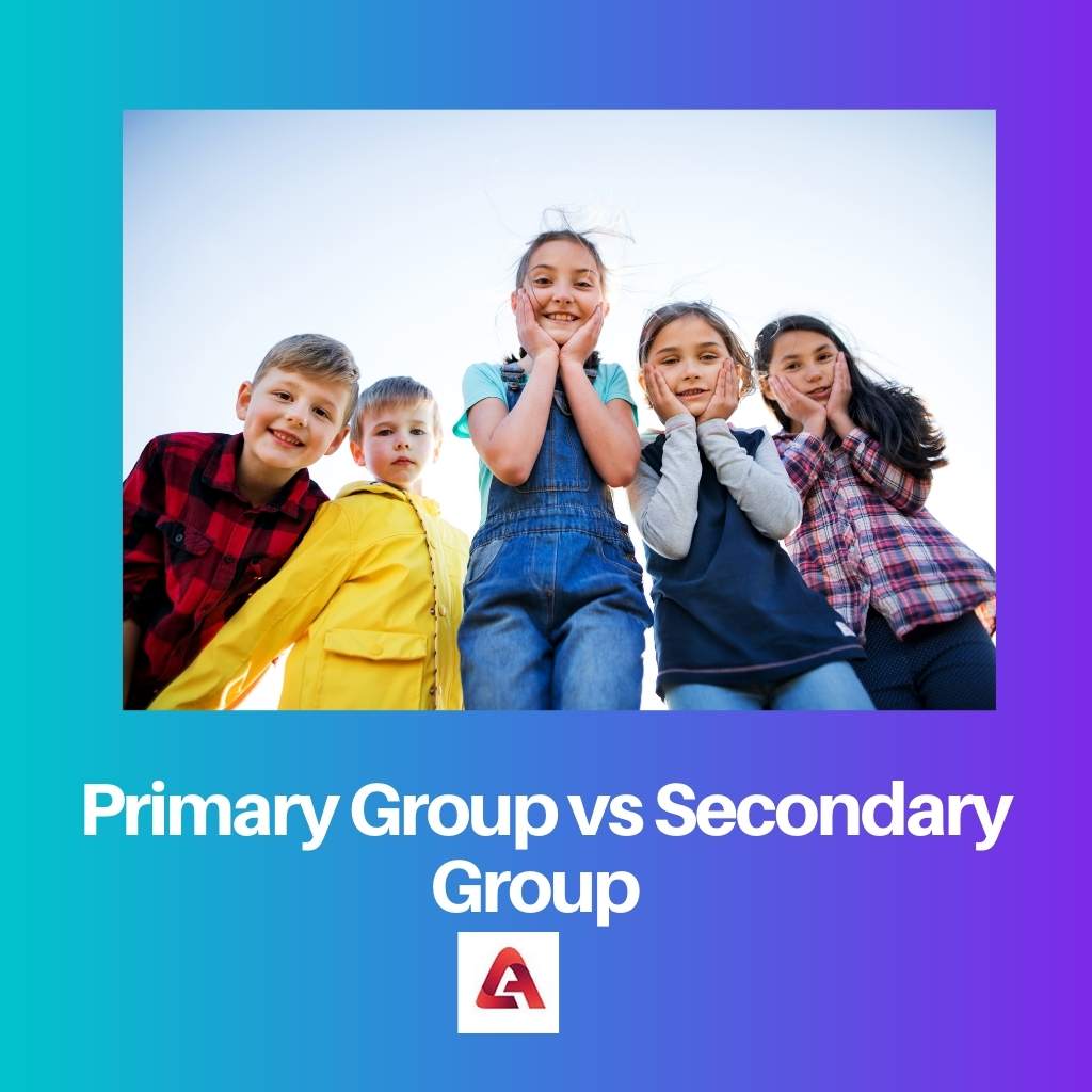 Primary Group vs Secondary Group