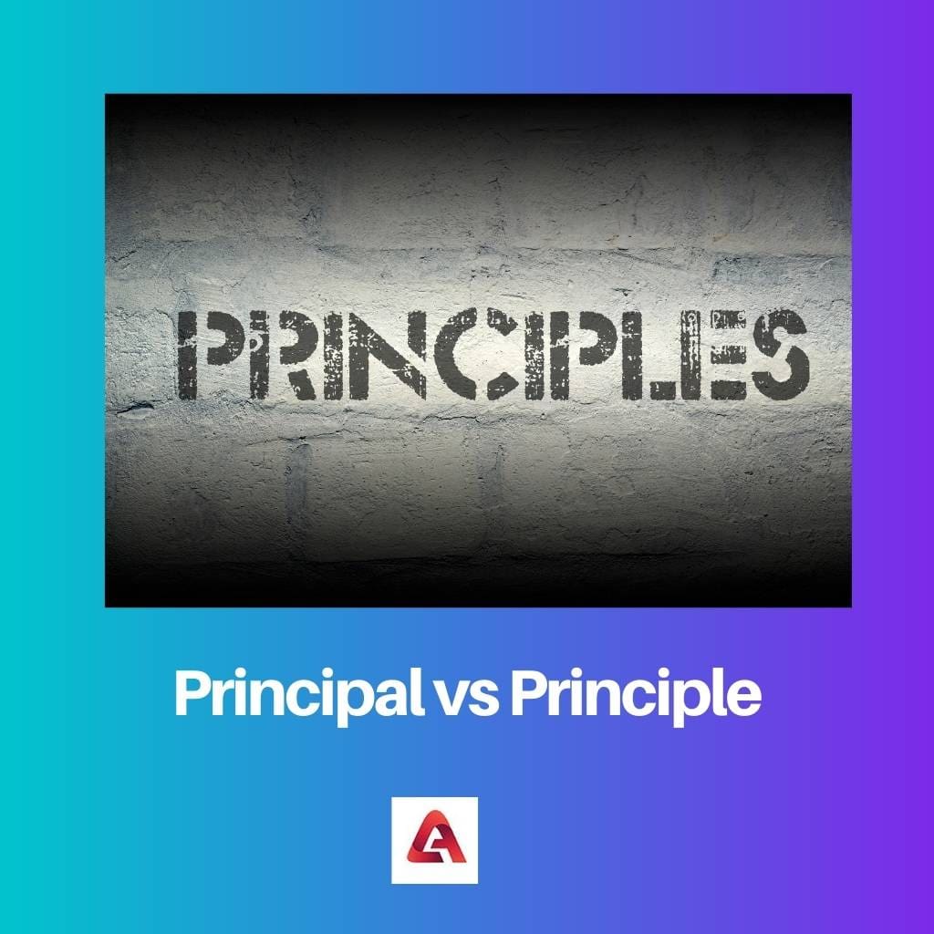 Principal vs Principle