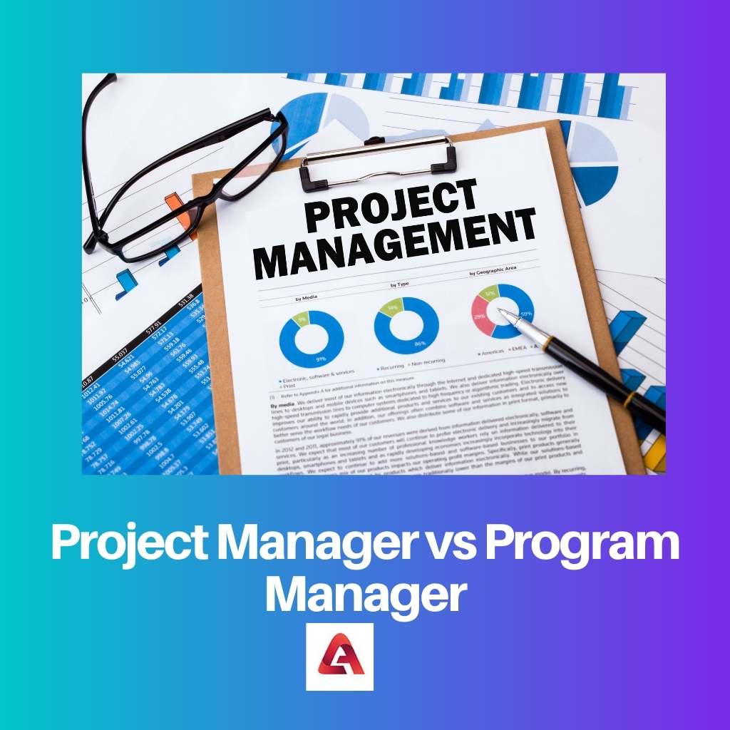 Project Manager vs Program Manager