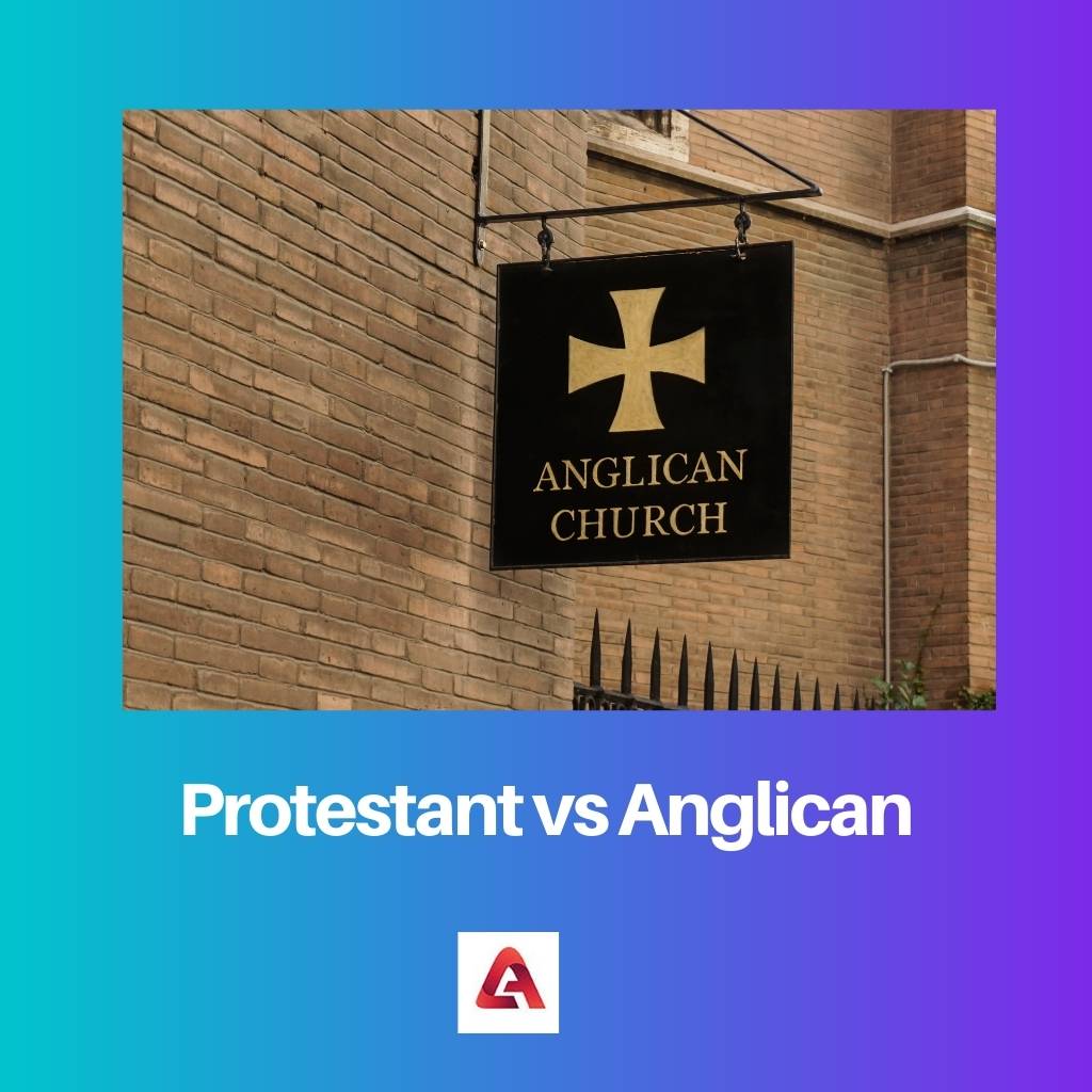 Protestant vs Anglican