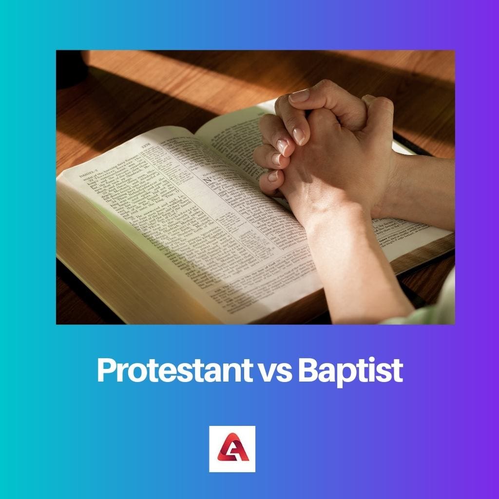 Protestant vs Baptist
