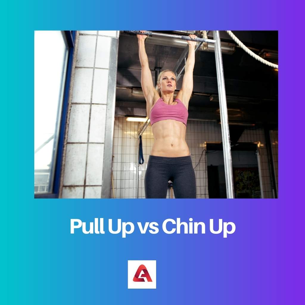 Pull Up vs Chin Up