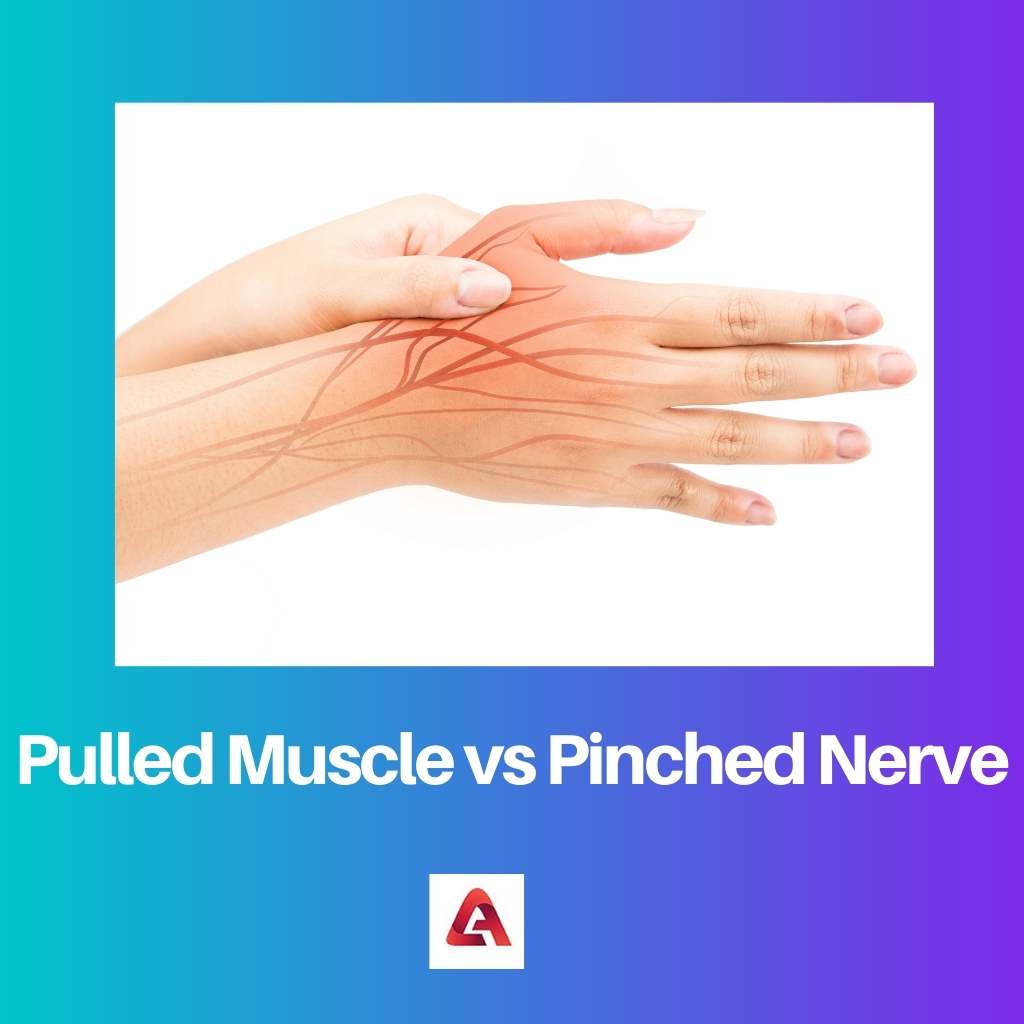 Pulled Muscle vs Pinched Nerve