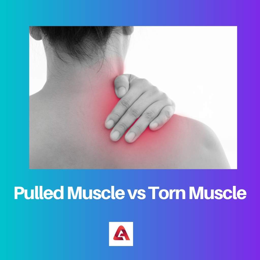 Pulled Muscle vs Torn Muscle