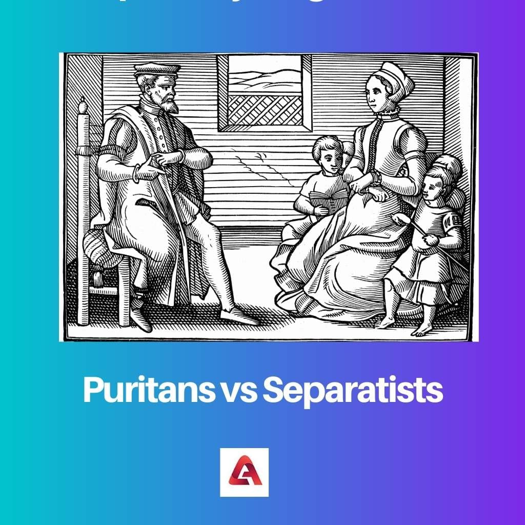 Puritans vs Separatists