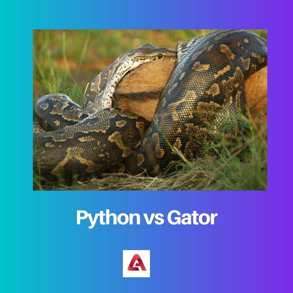 Python vs Gator