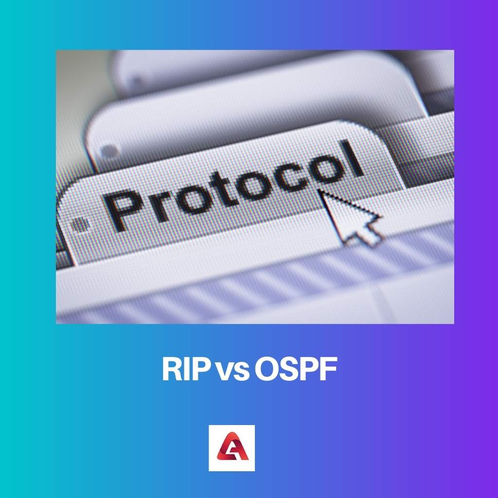 RIP vs OSPF