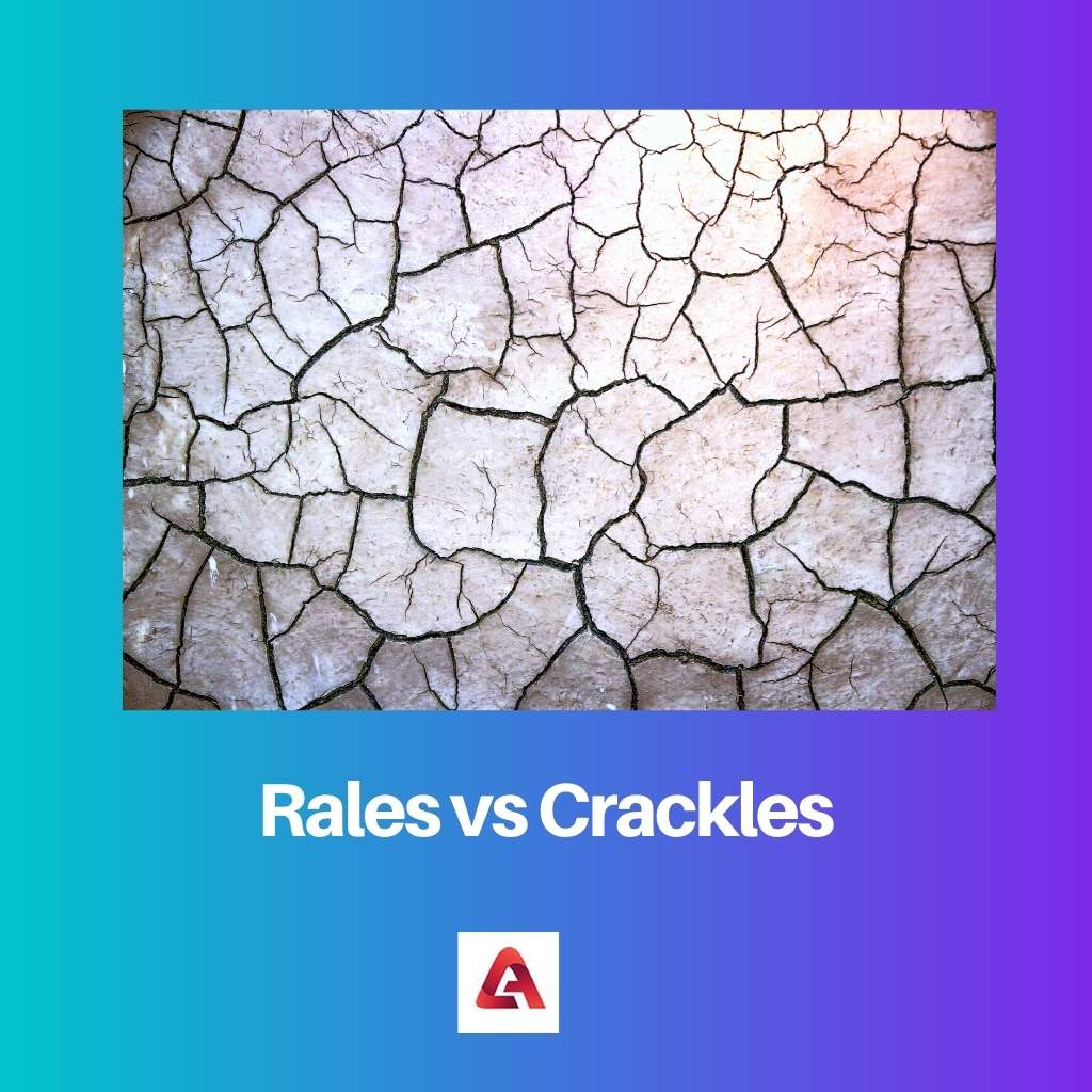 Rales vs Crackles