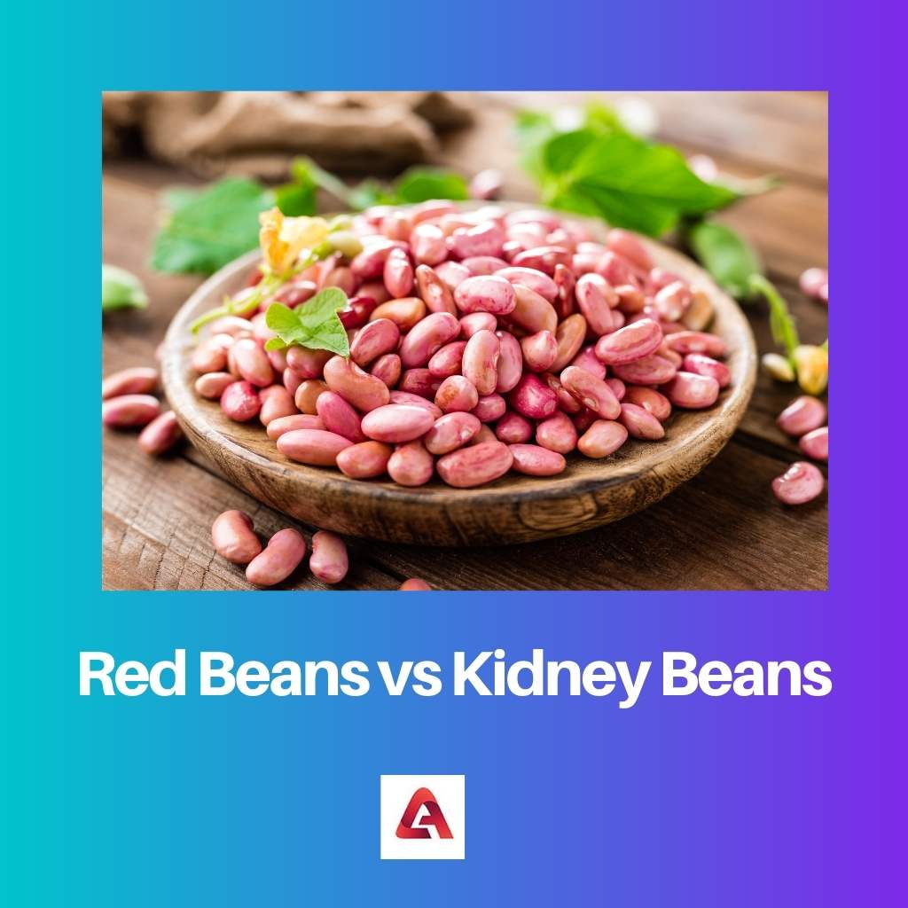 Red Beans vs Kidney Beans
