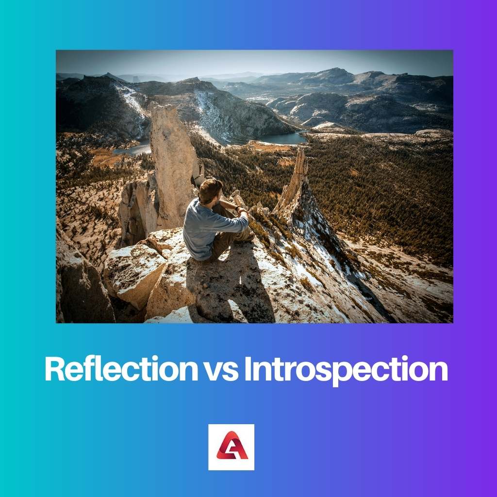 Reflection vs Introspection