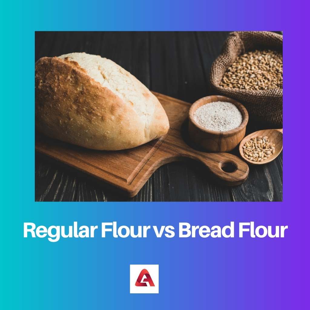 Regular Flour vs Bread Flour