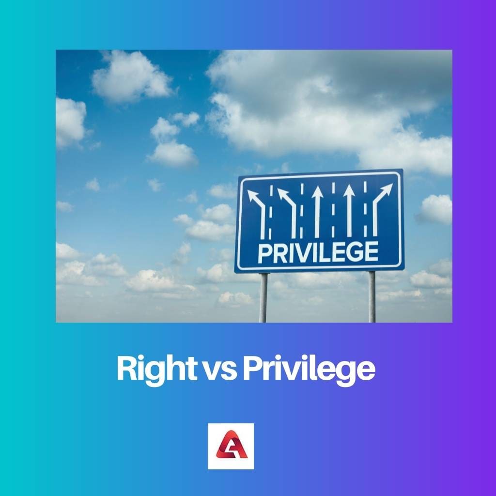 Right vs Privilege