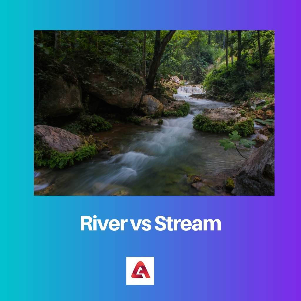 River vs Stream
