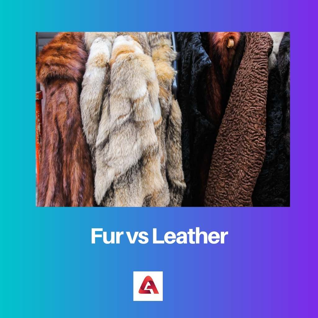 Rocks vs Fur vs Leather