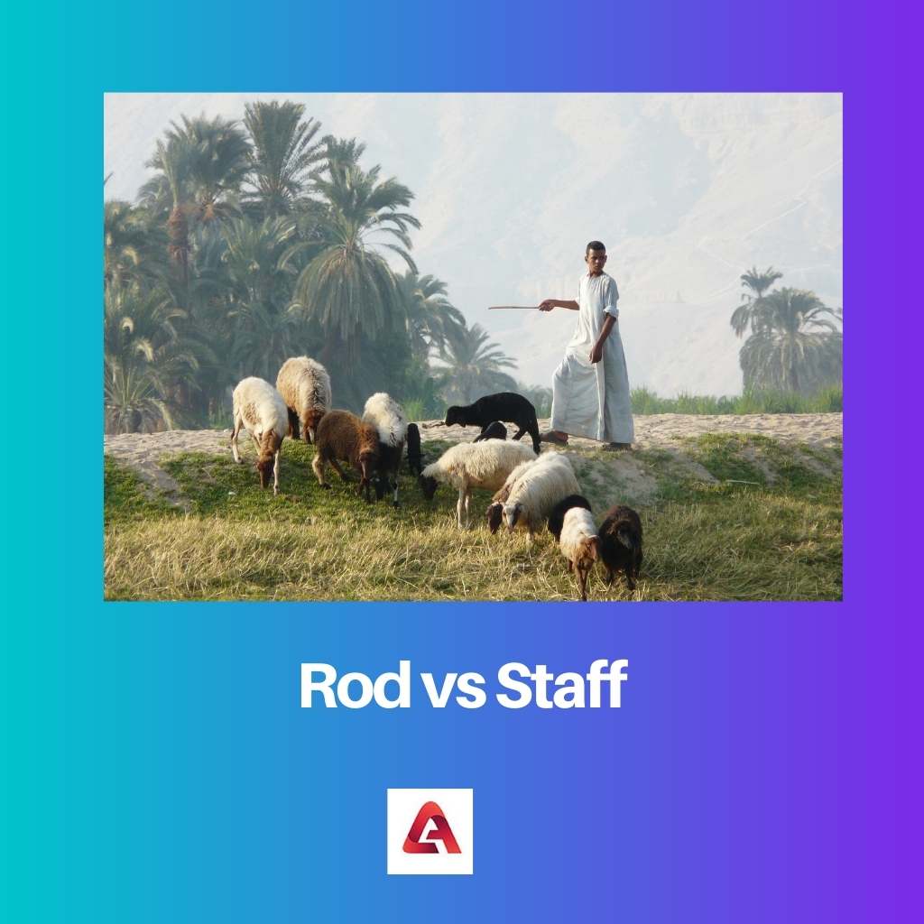 Rod vs Staff