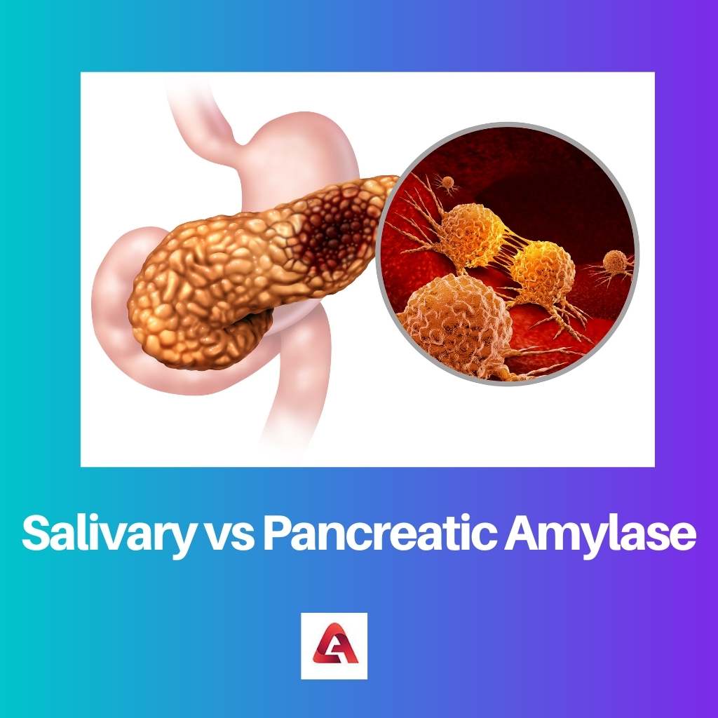 Salivary vs Pancreatic Amylase
