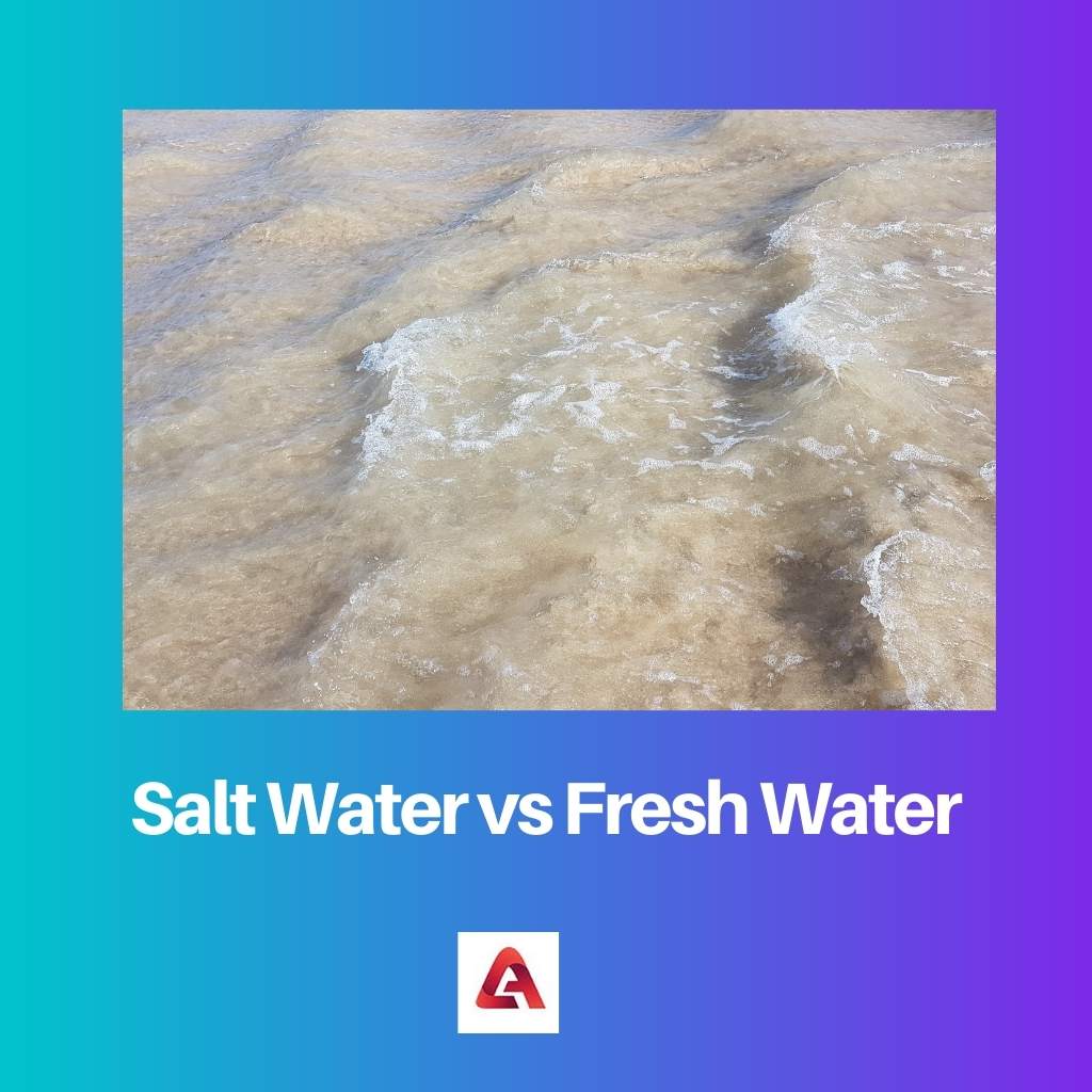Salt Water vs Fresh Water