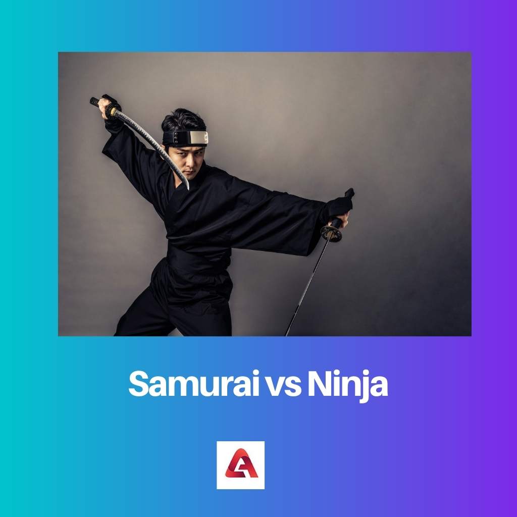 Samurai vs Ninja