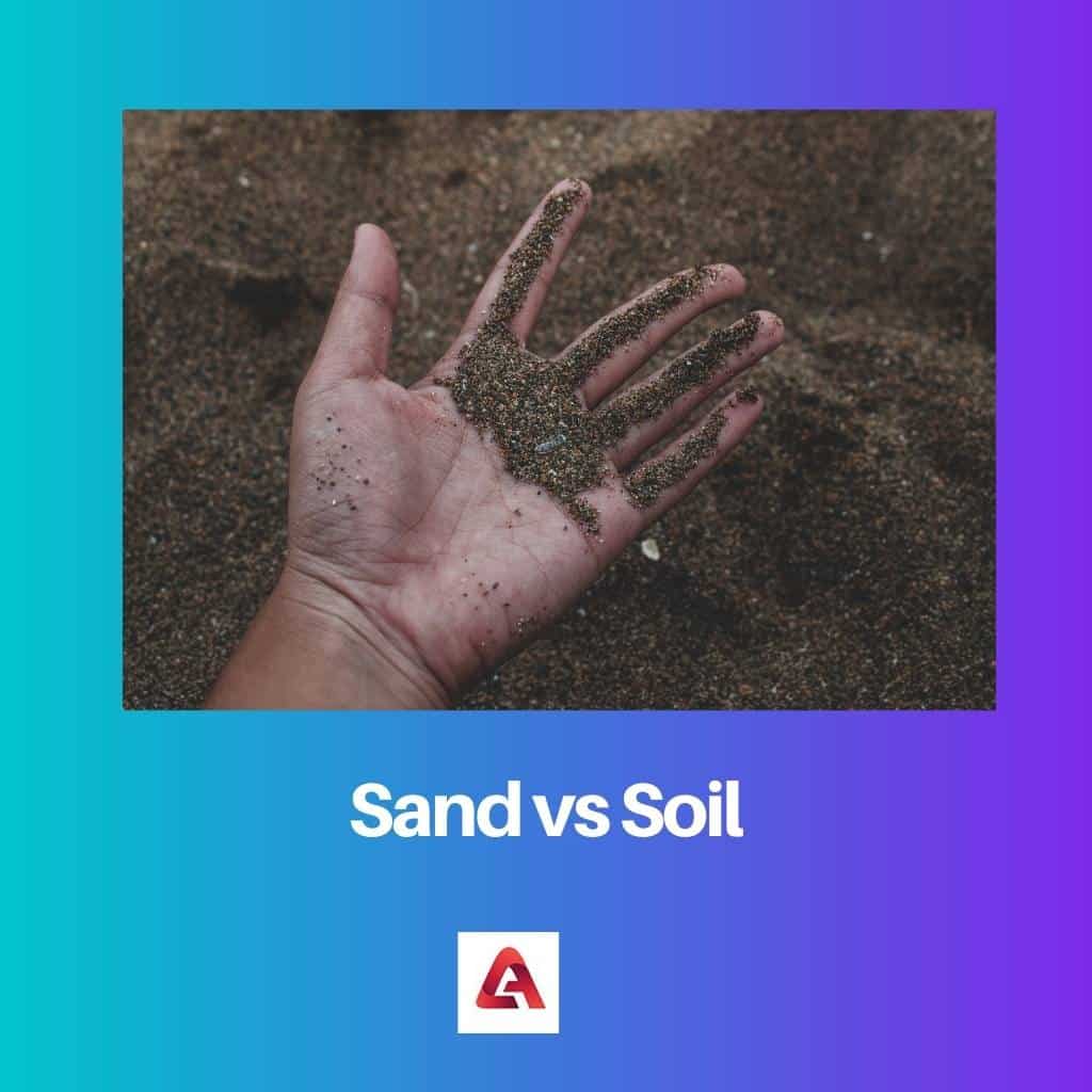 Sand vs Soil: Difference and Comparison