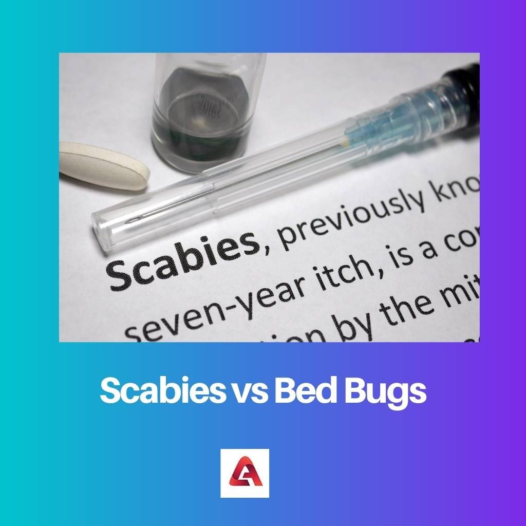 Scabies vs Bed Bugs