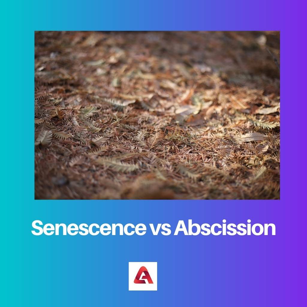 Senescence vs Abscission
