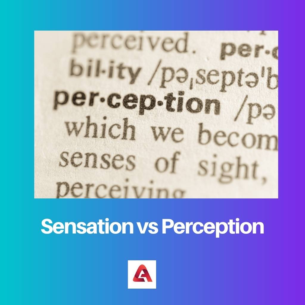 Sensation vs Perception