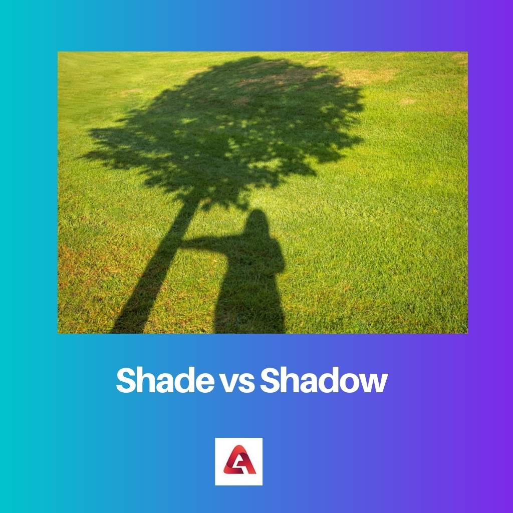 Shade vs Shadow