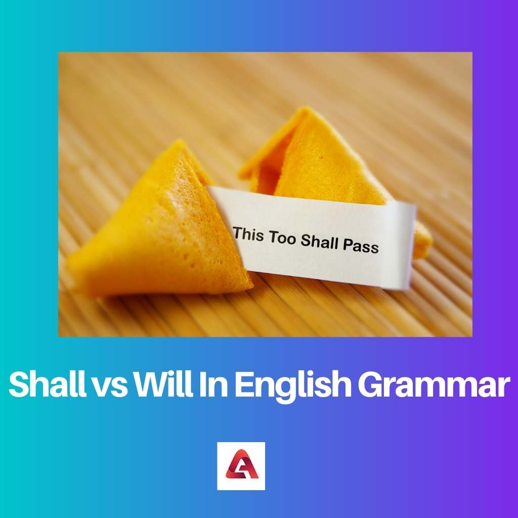 Shall vs Will In English Grammar