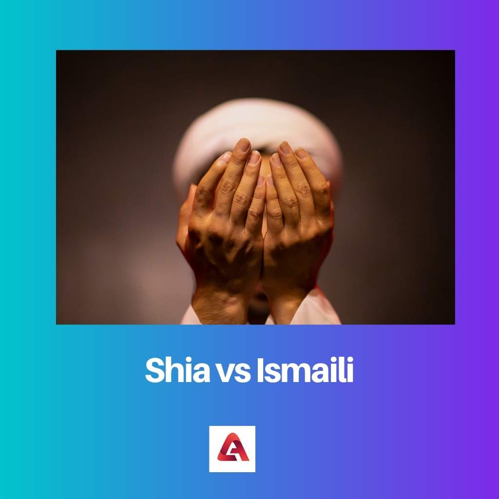 Shia vs Ismaili