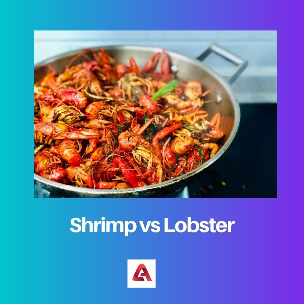 Shrimp vs Lobster