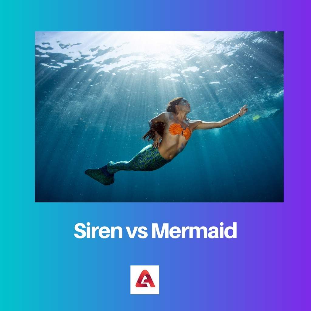 Siren vs Mermaid