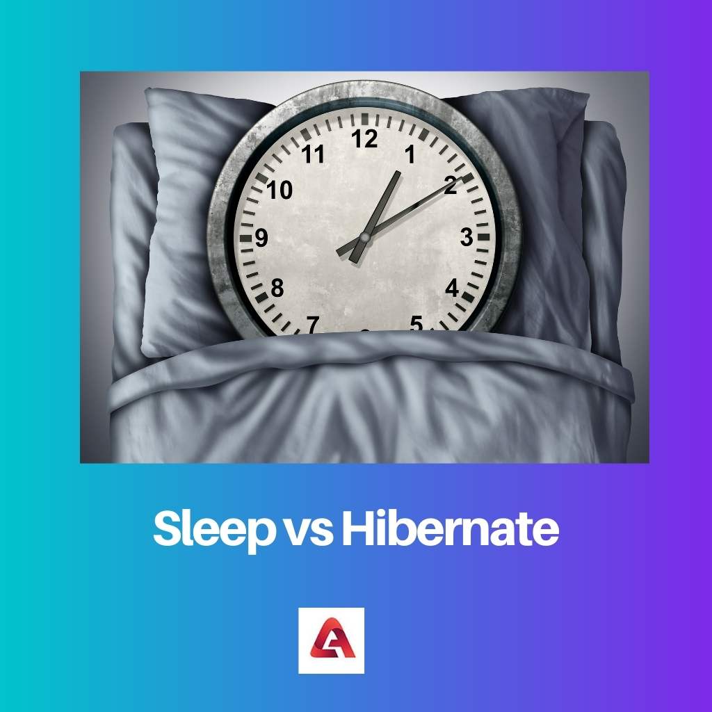 Sleep vs Hibernate