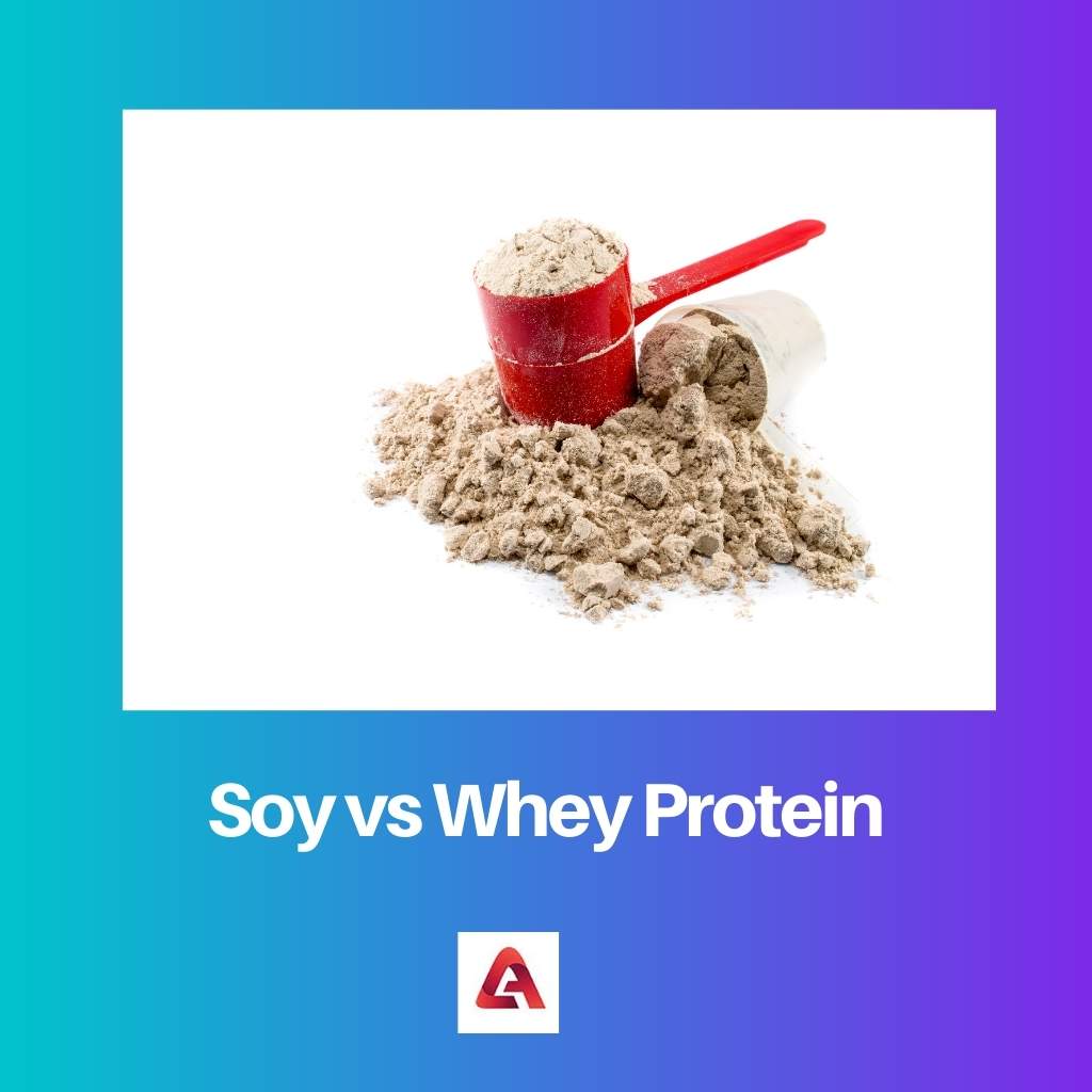 Soy vs Whey Protein