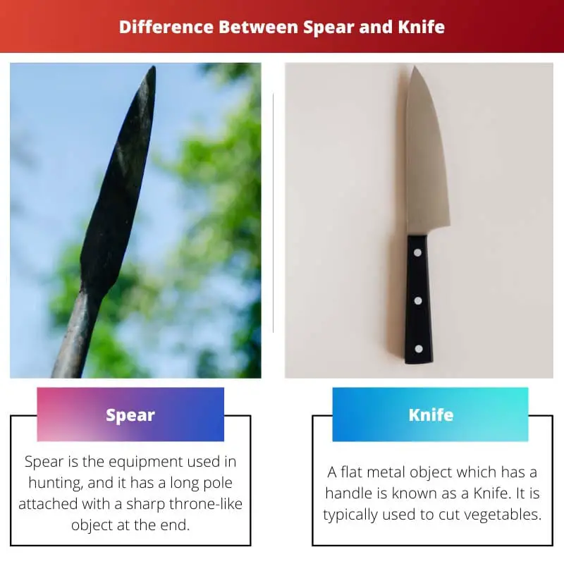 Spear vs Knife – Difference Between Spear and Knife